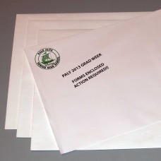 Envelopes - Large